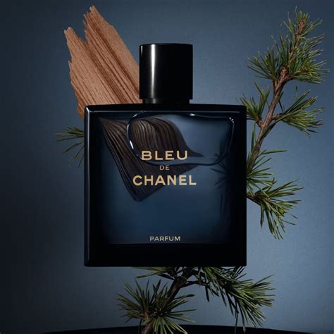 parfum hommes chanel|Chanel parfums pour homme.